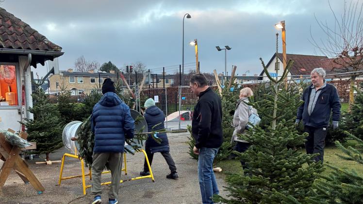 De frivillige til juletræssalget